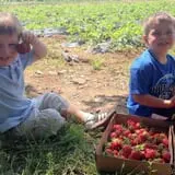 Melick's Town Farm photo