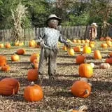 Melick's Town Farm photo