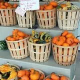 Melick's Town Farm photo