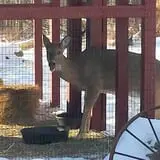 Melick's Town Farm photo