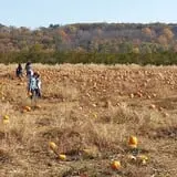Melick's Town Farm photo