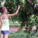 Melick's Town Farm photo