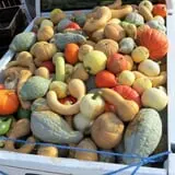 Melick's Town Farm photo