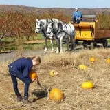 Melick's Town Farm photo
