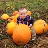 Melick's Town Farm photo