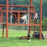 Melick's Town Farm photo
