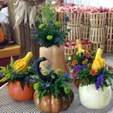 Melick's Town Farm photo