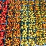 Melick's Town Farm photo