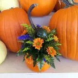 Melick's Town Farm photo