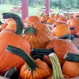 Melick's Town Farm photo