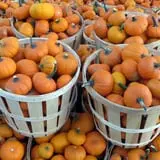 Melick's Town Farm photo