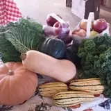 Melick's Town Farm photo