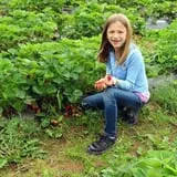 Melick's Town Farm photo
