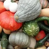 Melick's Town Farm photo