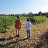Melick's Town Farm photo