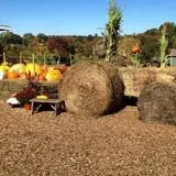 Outhouse Orchards photo