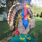 Outhouse Orchards photo