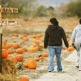 Schmidt's Farm and Greenhouse photo