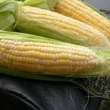Schmidt's Farm and Greenhouse photo