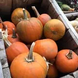 Schmidt's Farm and Greenhouse photo
