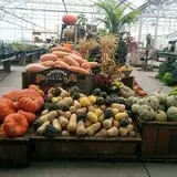 Schmidt's Farm and Greenhouse photo