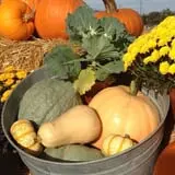 Schmidt's Farm and Greenhouse photo