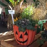 Schmidt's Farm and Greenhouse photo