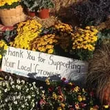 Schmidt's Farm and Greenhouse photo