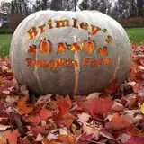 Brimley's Pumpkin Farm photo