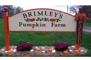 Brimley's Pumpkin Farm Logo