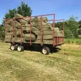 Last Resort Farm photo