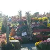 Manza Family Farm Fall Festival photo