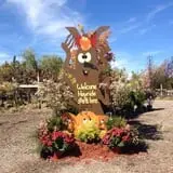 Manza Family Farm Fall Festival photo