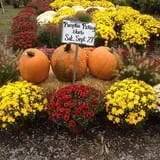 Manza Family Farm Fall Festival photo