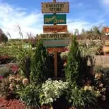 Manza Family Farm Fall Festival photo
