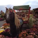 Manza Family Farm Fall Festival photo
