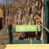 Manza Family Farm Fall Festival photo