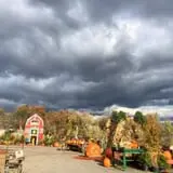 Manza Family Farm Fall Festival photo