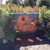 Manza Family Farm Fall Festival photo