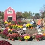 Manza Family Farm Fall Festival photo