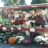 Manza Family Farm Fall Festival photo