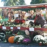 Manza Family Farm Fall Festival photo