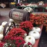 Manza Family Farm Fall Festival photo