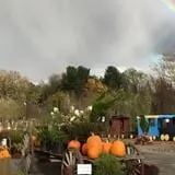 Manza Family Farm Fall Festival photo