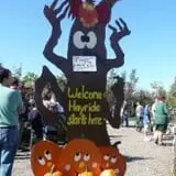 Manza Family Farm Fall Festival photo