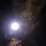 Screams Come True Haunted House & Hay Maze photo