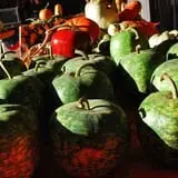 Old McDonald's Pumpkin Patch & Corn Maze photo