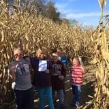 Old McDonald's Pumpkin Patch & Corn Maze photo