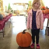 Old McDonald's Pumpkin Patch & Corn Maze photo