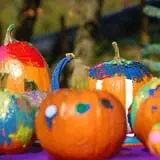 Old McDonald's Pumpkin Patch & Corn Maze photo